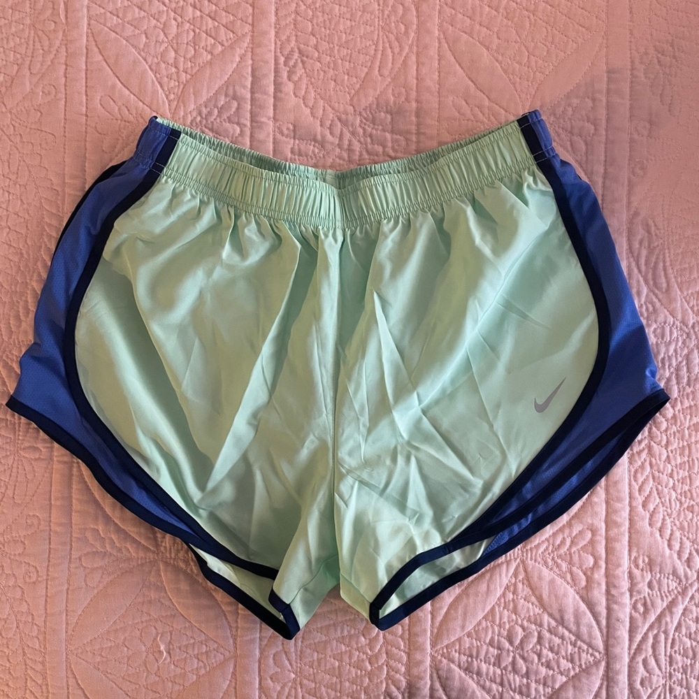 Nike Mint Green and Blue Athletic Shorts